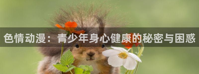 樱花动漫和风车动漫