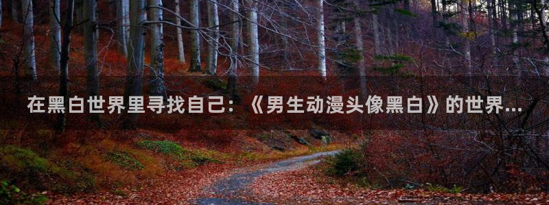 海贼王在线观看全集免费风车动漫