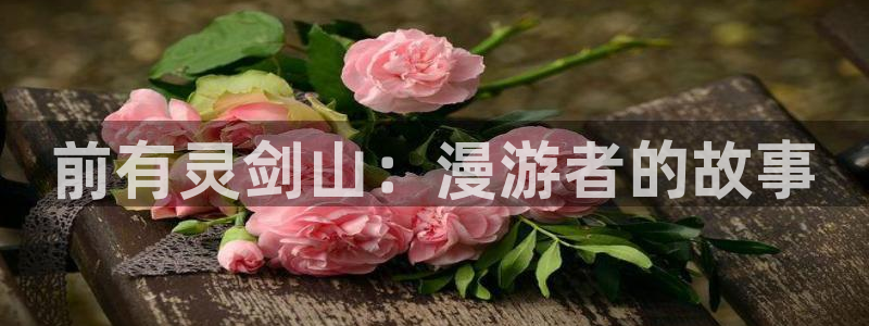 风车动漫专注动漫的门户官网