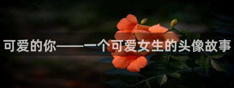 风车动漫库：可爱的你——一个可爱女生的头像故事