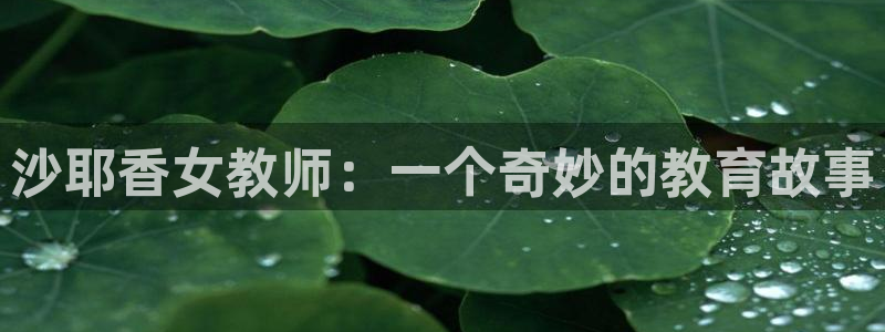 风车动漫com：沙耶香女教师：一个奇妙的教育故事